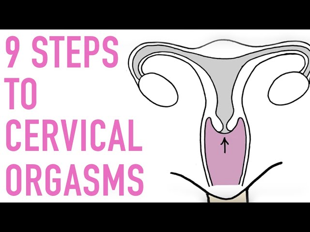 what is cervical orgasm What is cervical orgasm